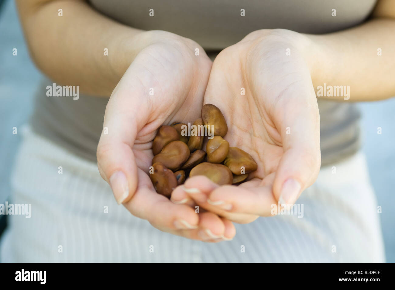 A tazza tenendo le mani grandi semi marrone Foto Stock