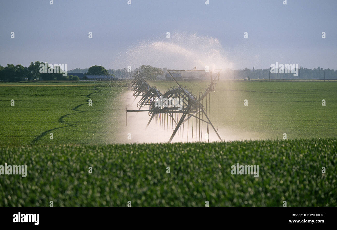 Un gigantesco sistema di irrigazione si muove attraverso un campo verde nella Valle di Flathead in Montana Foto Stock