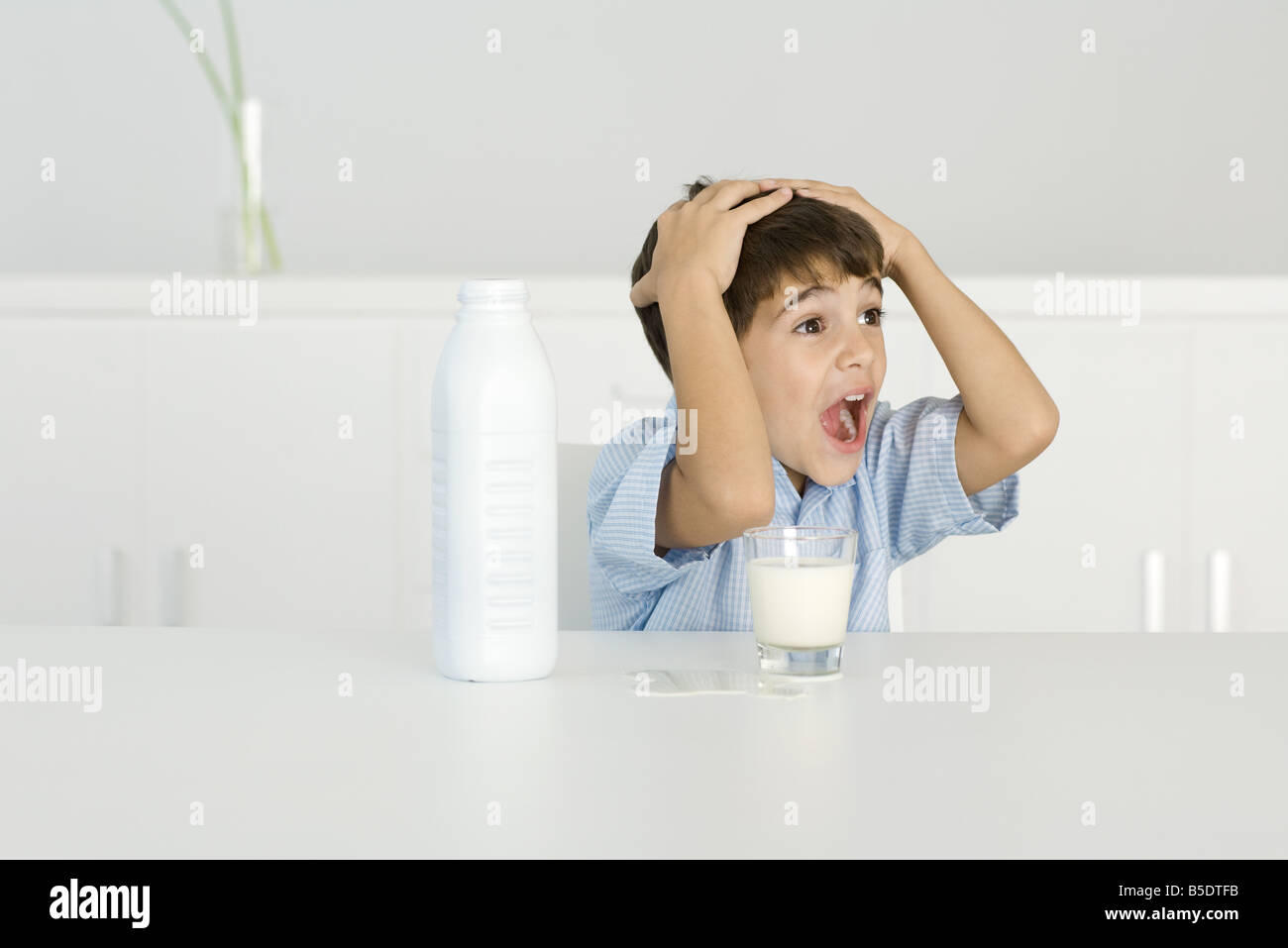 Ragazzo con latte versato, gridando, le mani sulla testa Foto Stock