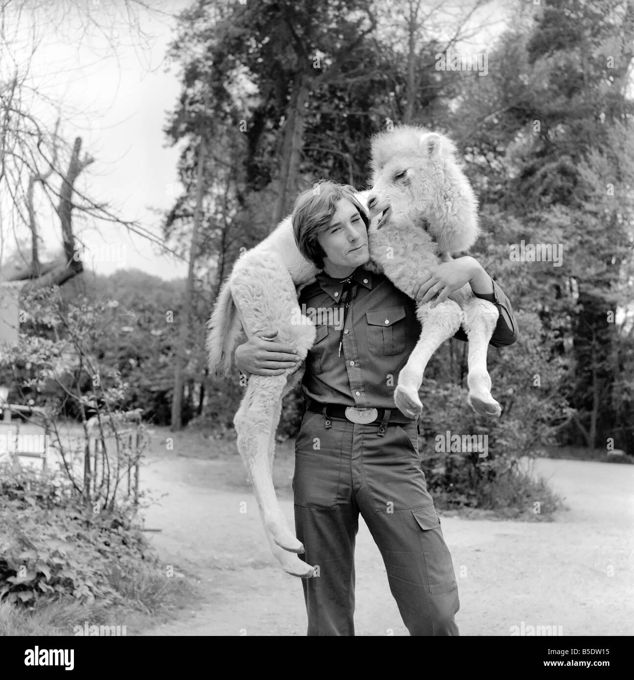 Uomo che cammina nel suo giardino sul retro che trasportano un cammello sulle sue spalle&#13;&#10;Maggio 1975 Foto Stock