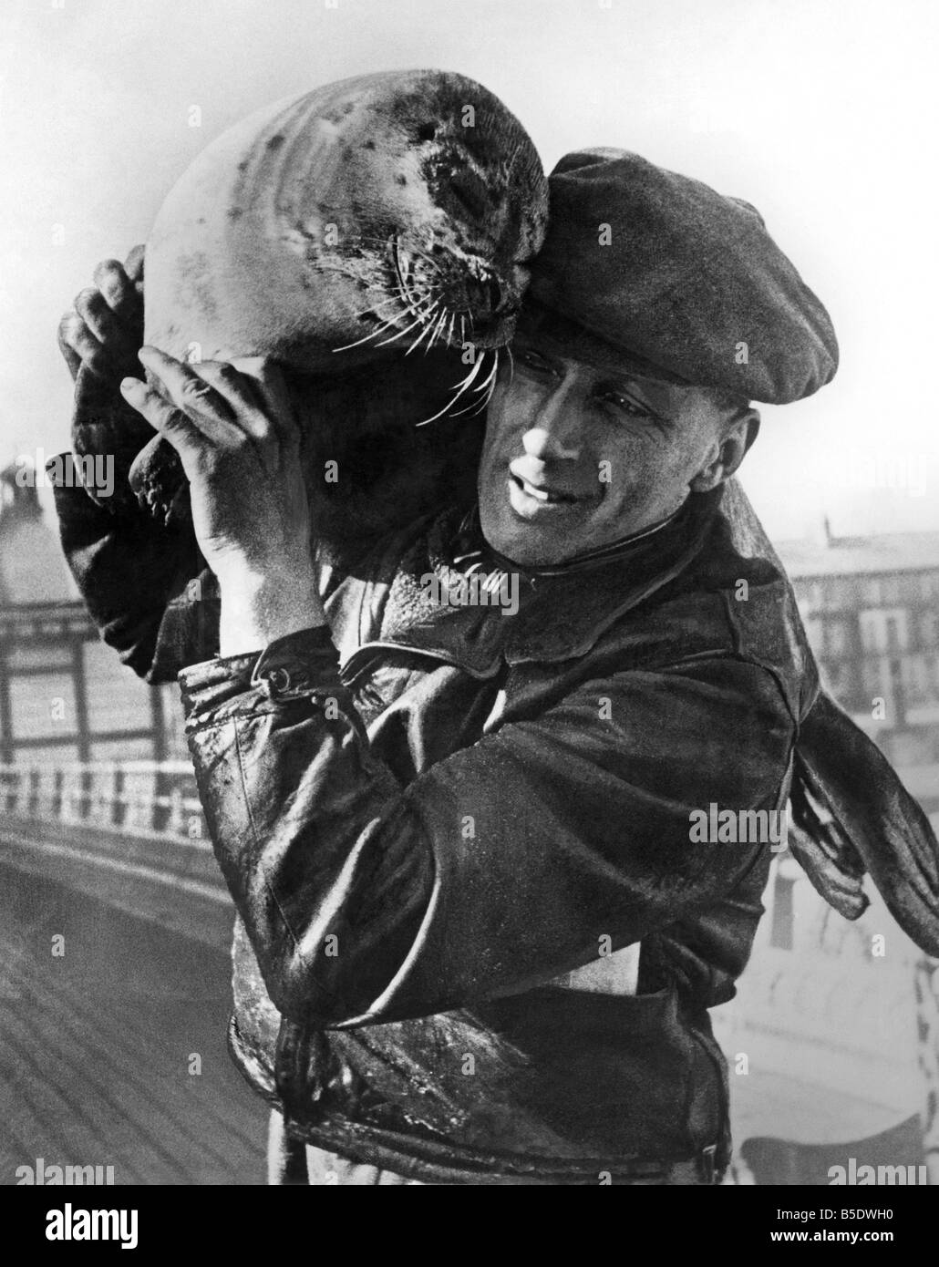 Billy il sigillo del Sig. Reginald Nicholls: Billy la guarnizione ha una buona ragione per sentirsi affettuoso verso il suo capo il Sig. Reginald Nicholls, di ortica Hill, Great Yarmouth. Ella era in procinto di essere girato su un mare del Nord, banco di sabbia, con altri membri di una mandria che era stata di interferire con la pesca delle aringhe quando il Sig. Nicholls ha visto il patetico sguardo sul suo viso. La sua espressione e la sua età - era nato circa tre giorni prima - salvato la sua. Con l aiuto di boatman C.W Platt il sig. Nicholls ha portato il suo ritorno a casa sua a Yarmouth Britiannia Pier dove ella riceve i visitatori nella sua capanna Foto Stock