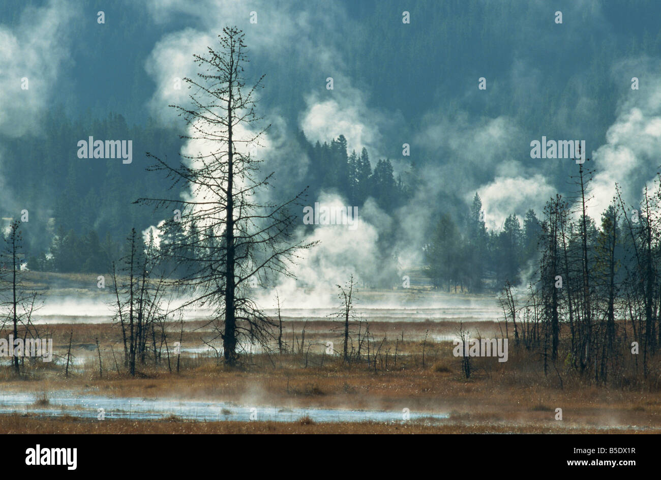 Attività geotermica, il Parco Nazionale di Yellowstone, Sito Patrimonio Mondiale dell'UNESCO, Wyoming USA, America del Nord Foto Stock