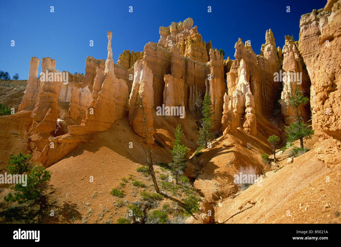 Bizzarre sculture di roccia nel Queens Garden del Bryce anfiteatro, parco nazionale di Bryce Canyon, Utah Foto Stock