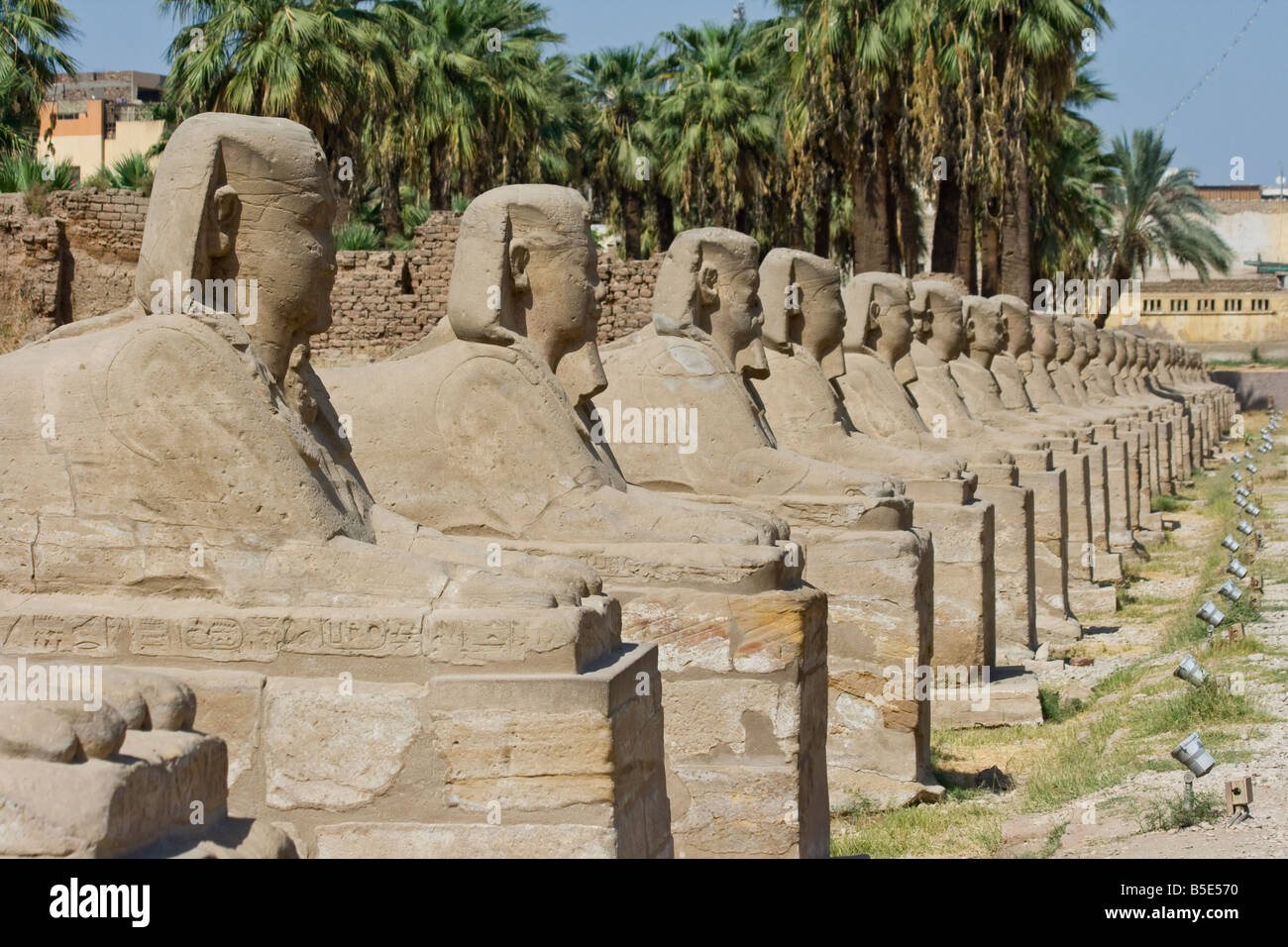 Viale di Sfingi a Luxor Tempio di Luxor in Egitto Foto Stock
