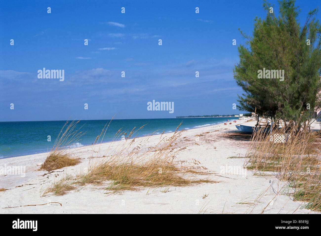 Spiaggia, Anna Maria Island, costa del Golfo della Florida, Stati Uniti d'America, America del Nord Foto Stock