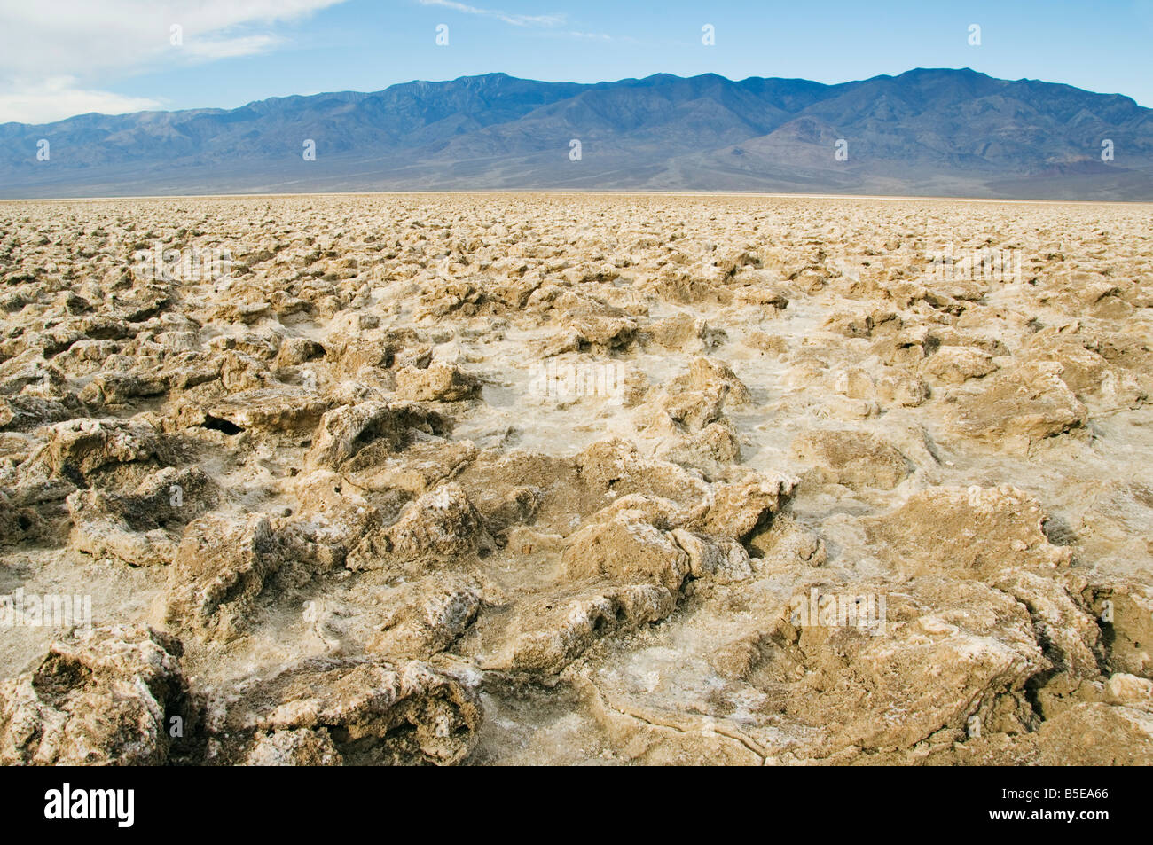 Deposito di cristallinità pilastri di sale nell'ondulato paesaggio Badlands al Devils Golf Course, Death Valley, California Foto Stock