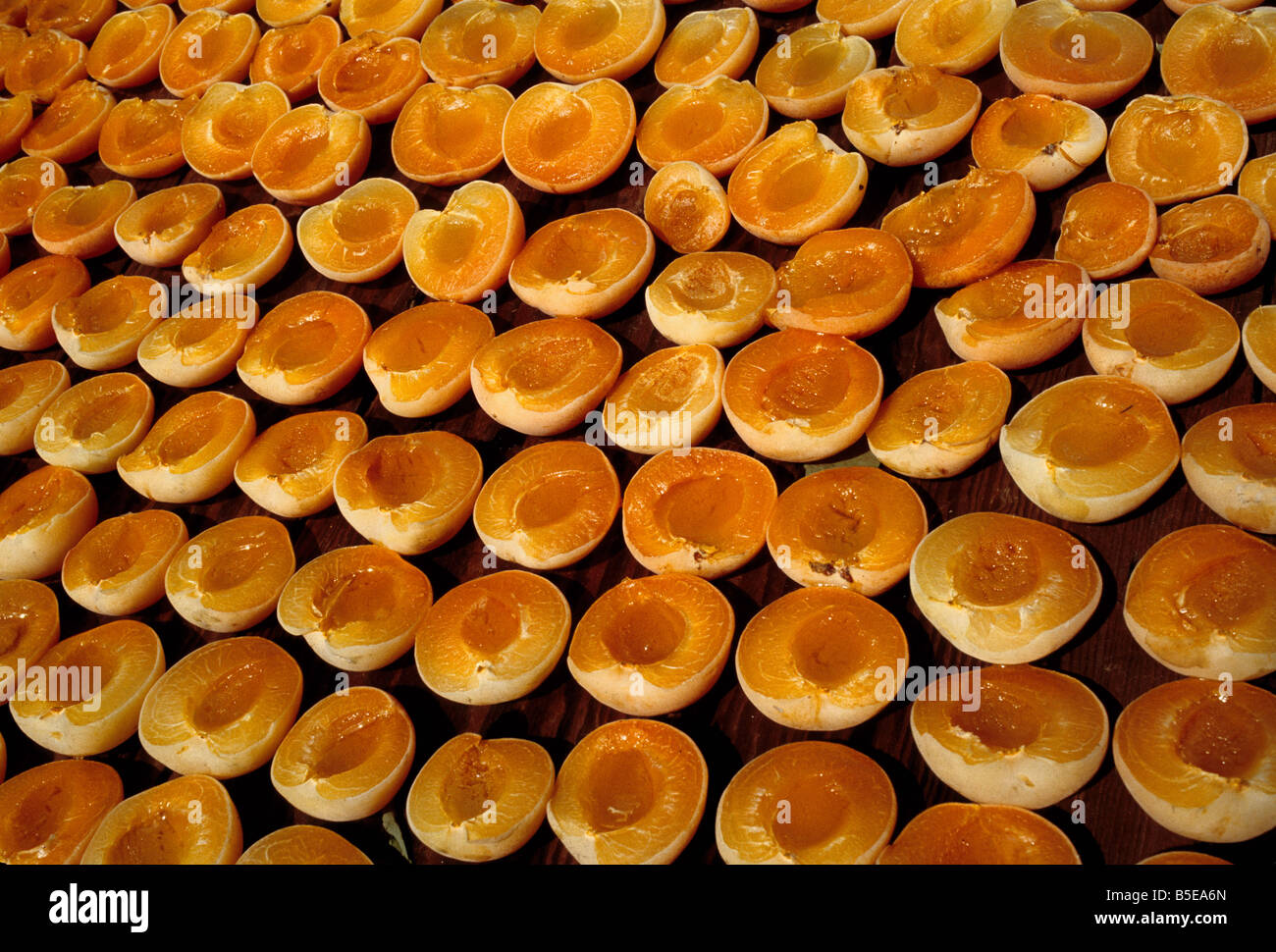 Tagliate a metà le albicocche - sole asciugato con basso tenore di zolfo. Foto Stock