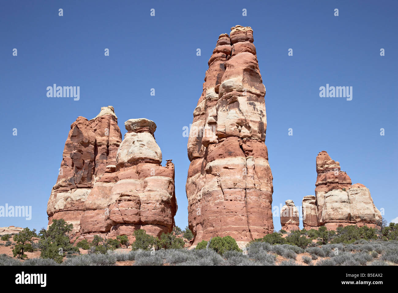 Ago di roccia, aghi District, il Parco Nazionale di Canyonlands, Utah, Stati Uniti d'America, America del Nord Foto Stock