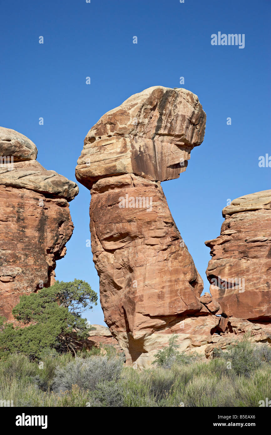 Formazione di roccia, aghi District, il Parco Nazionale di Canyonlands, Utah, Stati Uniti d'America, America del Nord Foto Stock
