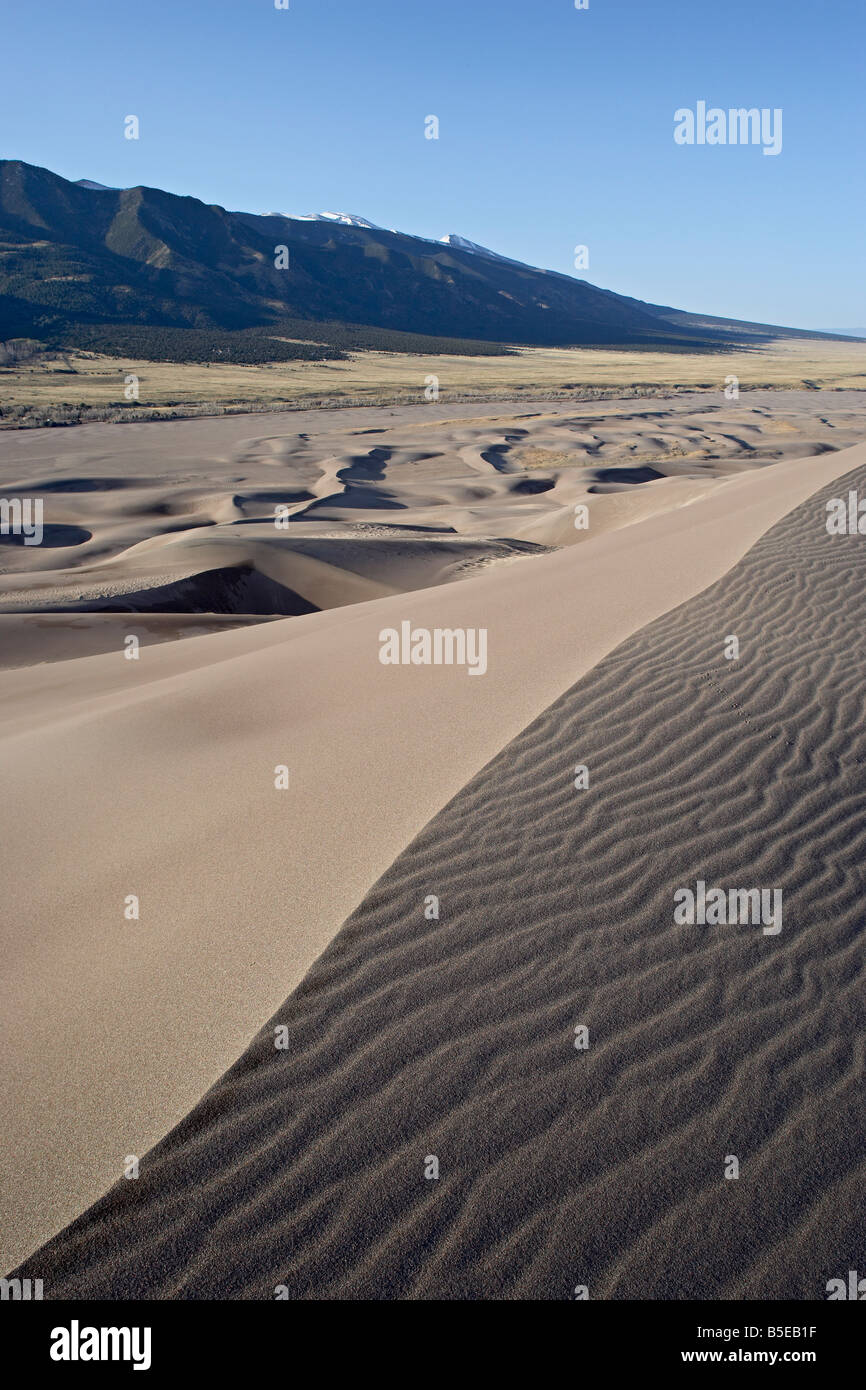 Dune di sabbia all'alba, grandi dune di sabbia del Parco Narional e preservare, Colorado, Stati Uniti d'America, America del Nord Foto Stock