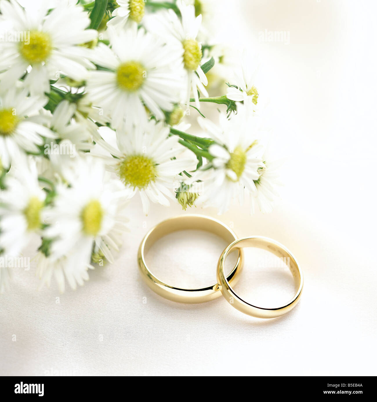 Due anelli in oro bianco su tessuto a trama sullo sfondo di stoffa con fiori  a margherita nel lato sinistro Foto stock - Alamy