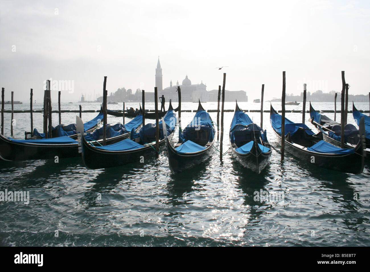 Gondole con i coperchi di colore blu a Venezia. San Michele è in background. Foto Stock