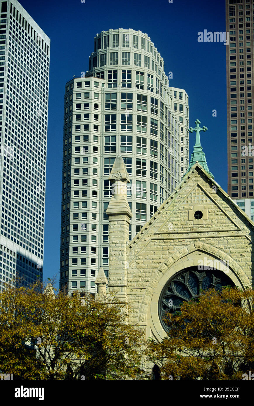 Cattedrale del Santo Nome con blocchi a torre del vicino a nord del centro di Chicago in background, Chicago, Illinois, Stati Uniti d'America Foto Stock