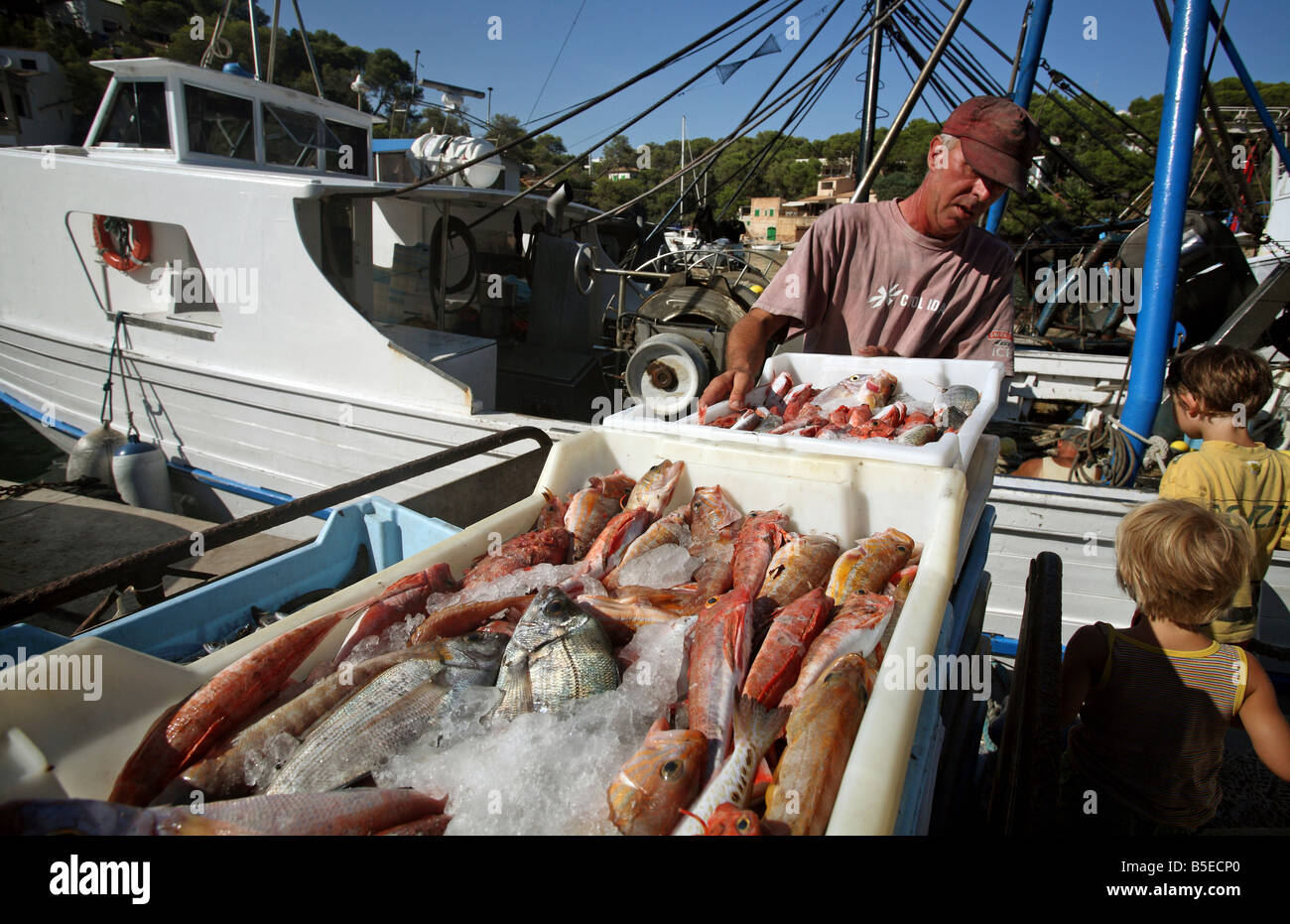 Pescatore con il suo bottino in porto, Maiorca, SPAGNA Foto Stock
