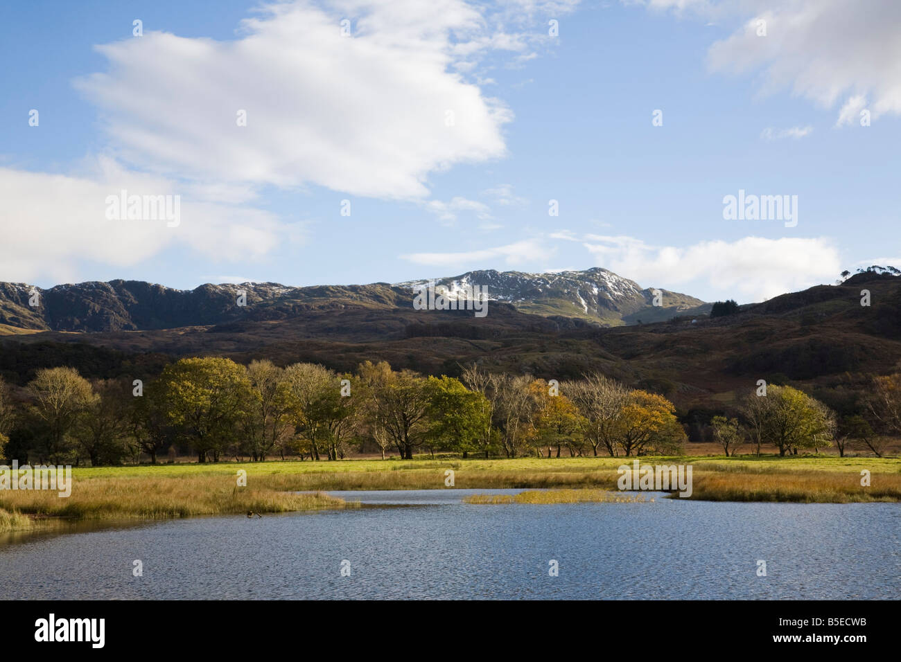 Vista su tutta Llyn Dinas lago a Cnicht montagna nel Parco Nazionale di Snowdonia in autunno. Bethania Gwynedd North Wales UK Foto Stock