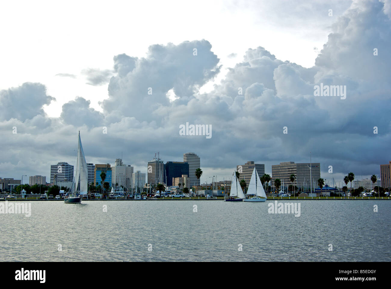 Barche a vela per la raccolta di un piccolo tramonto gara entro il Corpus Christi Harbour e la vista del centro della città di highrise edifici Foto Stock