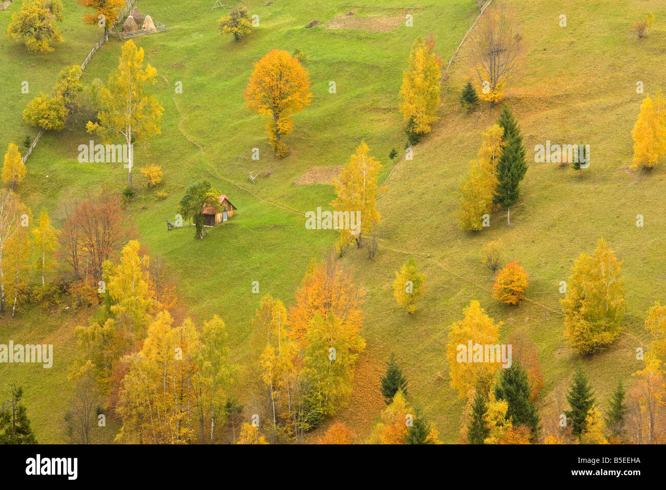 Bella pastorale paesaggio montano con agricoltura tradizionale in Piatra Criaulu montagne autunno Romania Foto Stock