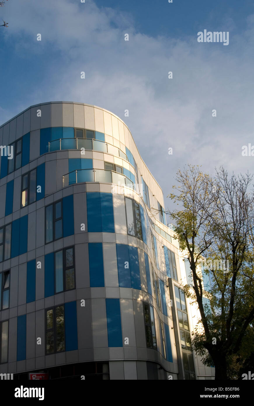 Un'immagine cercando un moderno edificio torre dietro ad un albero con il cielo blu e nuvole dietro di essa Foto Stock