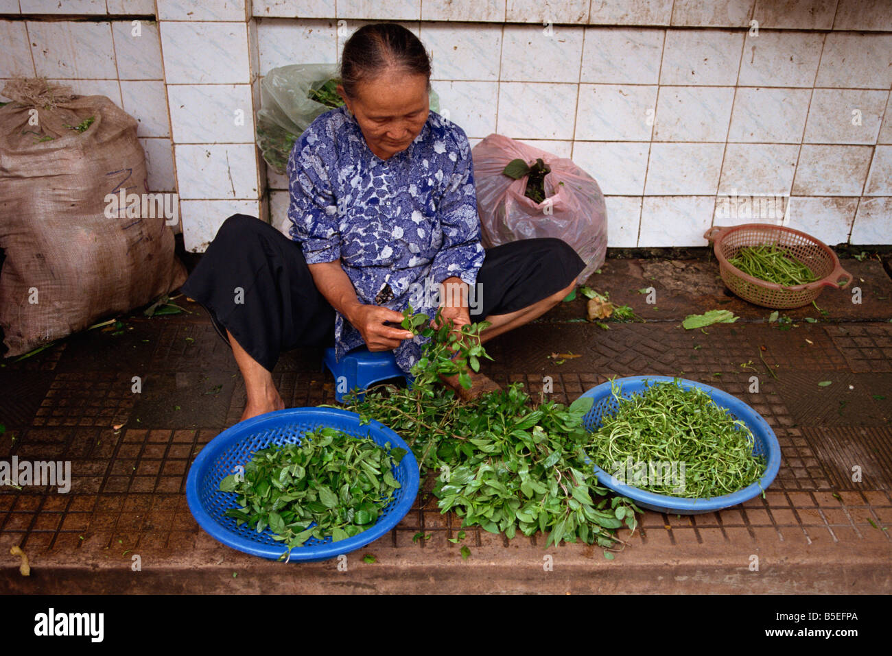 Donna fornitore nel mercato ortofrutticolo in Ho Chi Minh City Vietnam Asia L TAYLOR Foto Stock