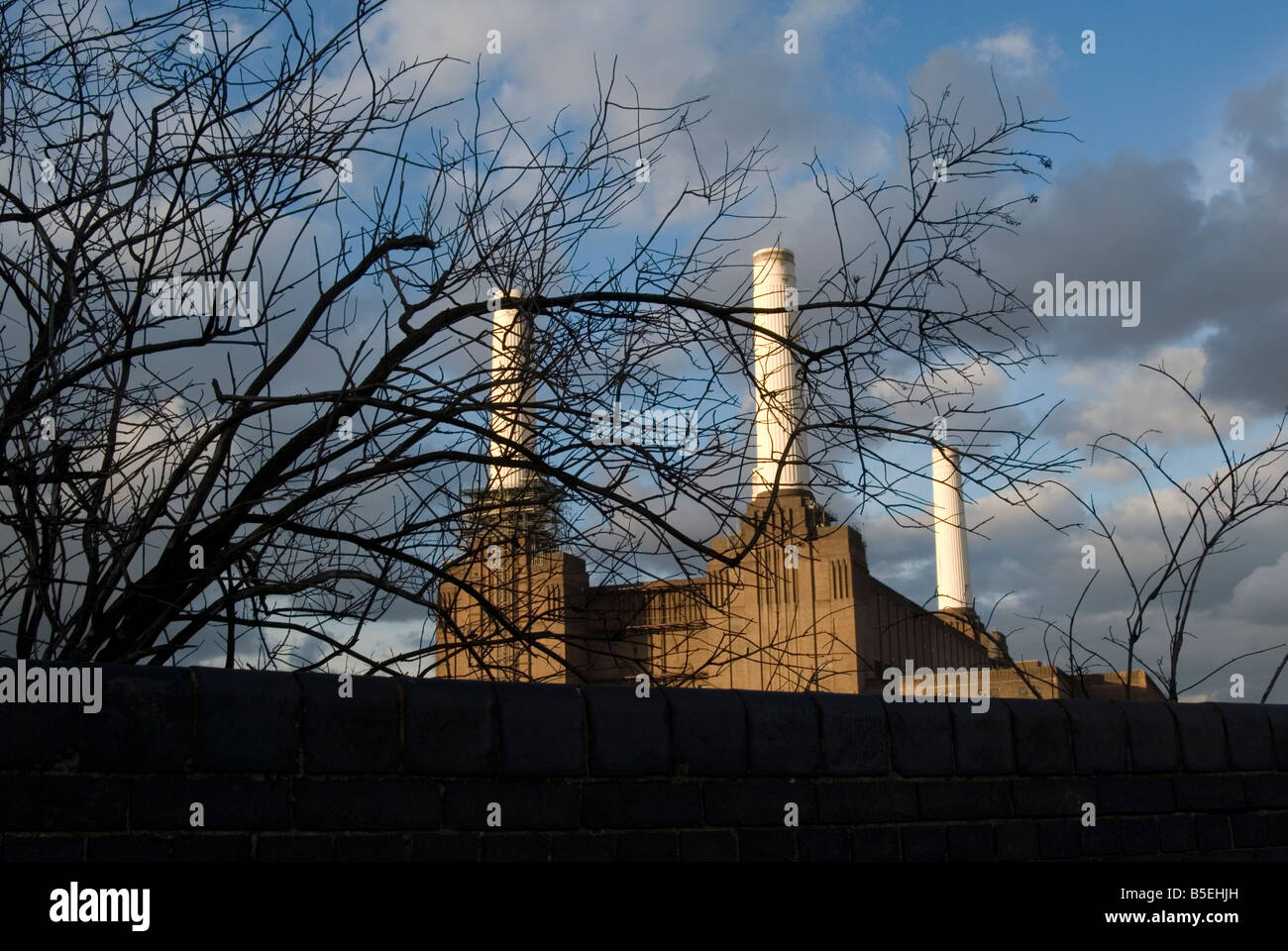 Un'immagine presa di un muro di mattoni in Battersea e un albero senza foglie con Battersea Power Station in background Foto Stock
