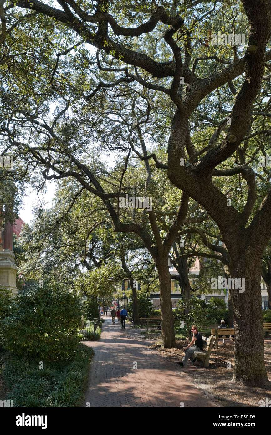 Wright quadrato su Bull Street, Quartiere Storico di Savannah, Georgia, Stati Uniti d'America Foto Stock