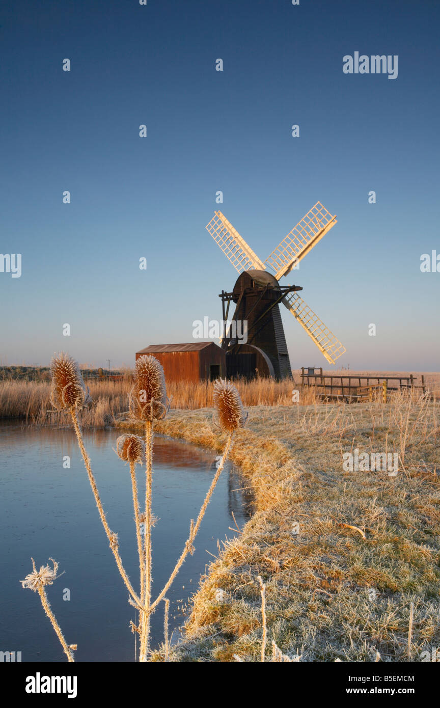 Il freddo Hoarfrosted sunrise al mulino a vento Herringfleet sul & Norfolk Broads Suffolk Foto Stock