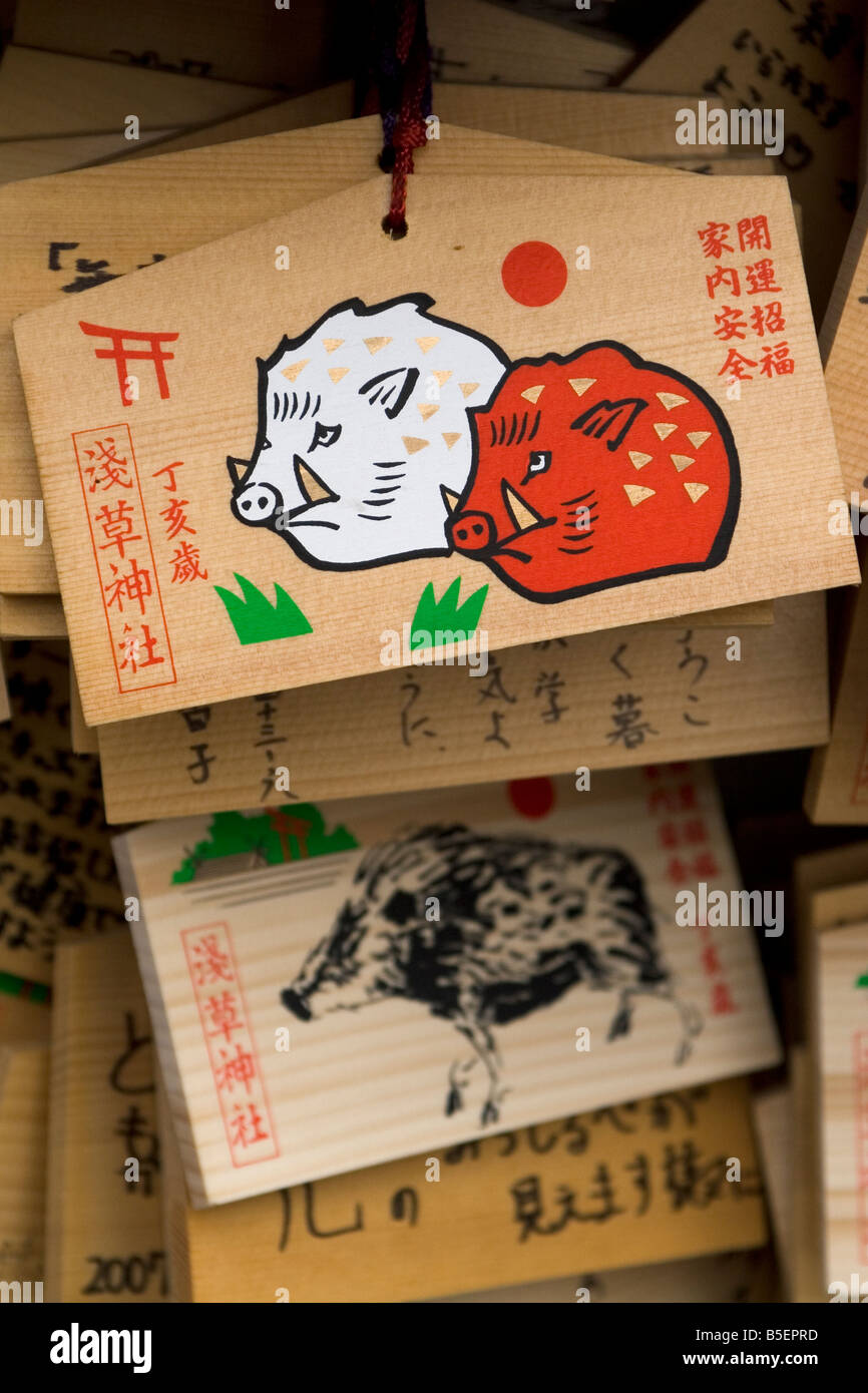 Legno schede di preghiera portano l'immagine dei cinghiali a Sens-ji il Tempio di Asakusa, un quartiere di Tokyo. Foto Stock