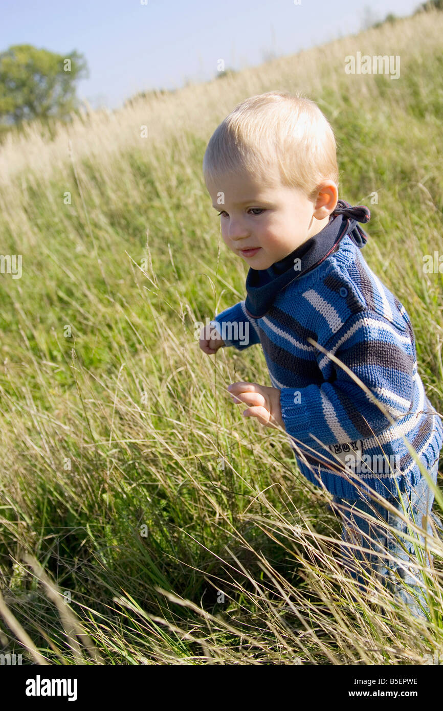 Little Boy (1-2) passeggiate nel prato Foto Stock