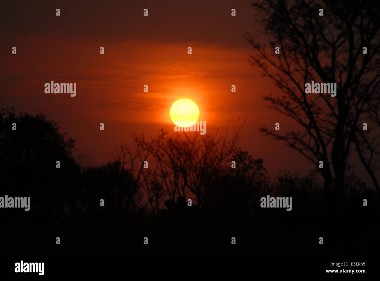 Sun set nel Waterberg nella riserva naturale del Sud Africa. Eva-Lotta Jansson Foto Stock