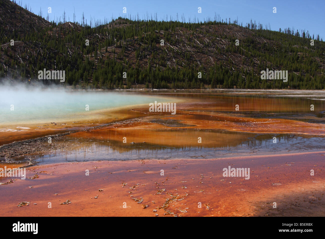 Grand Prismatic Spring, Midway Geyser Basin, il Parco Nazionale di Yellowstone Foto Stock
