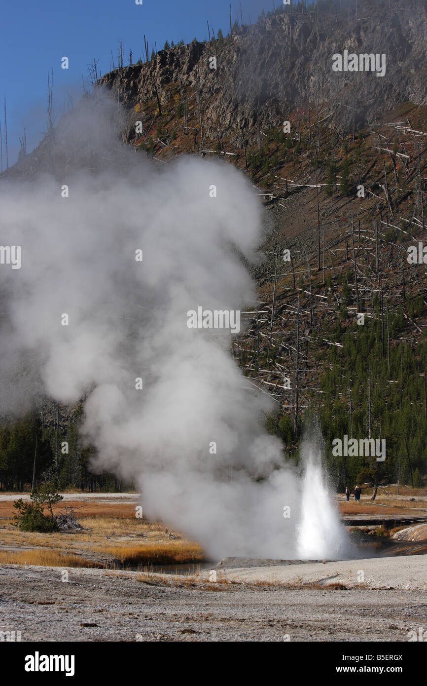 Cliff Geyser che erutta, sabbia nera bacino, il Parco Nazionale di Yellowstone Foto Stock