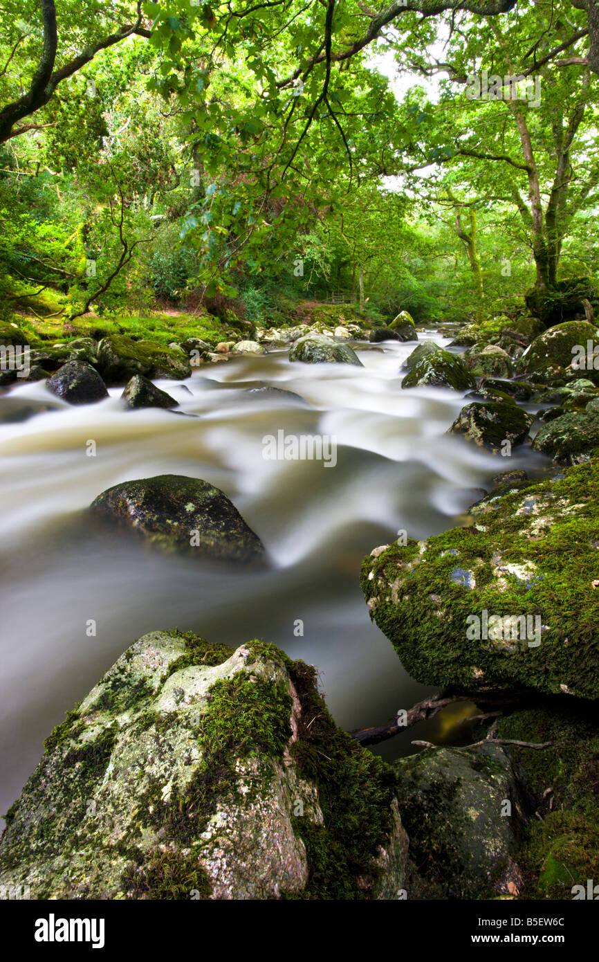 Rocky River Plym fluente attraverso Dewerstone legno in estate Parco Nazionale di Dartmoor Devon England Foto Stock