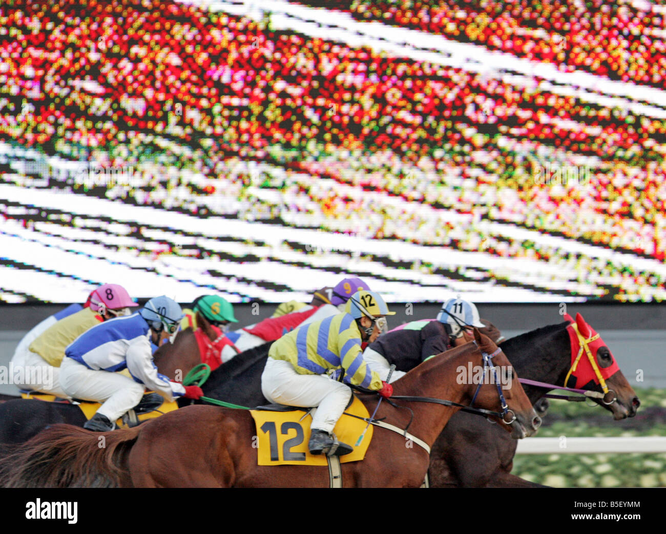 Fantini sui loro cavalli in una corsa di cavalli, Seoul, Corea del Sud Foto Stock
