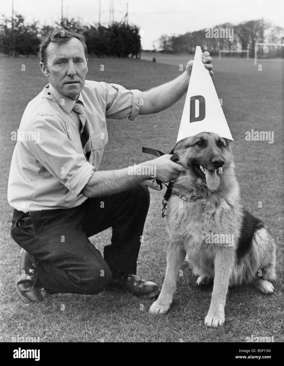 Sevi la polizia cane indossa il suo dunces hat con gestore Collis Tom chi non è stato in grado di passare la polizia corso di addestramento del cane Foto Stock