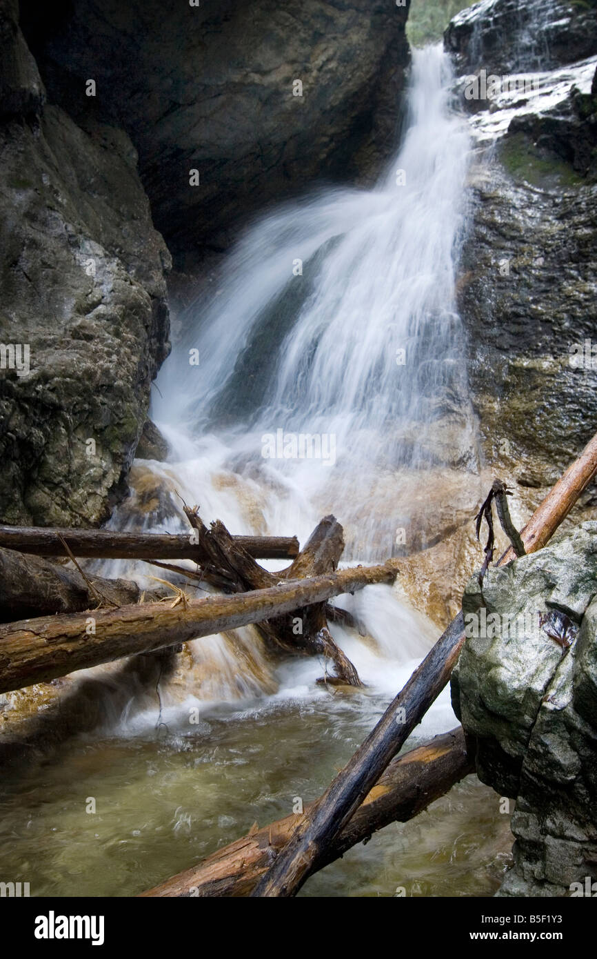 Wild cascata in 'Slovensky Raj' parco nazionale. Foto Stock