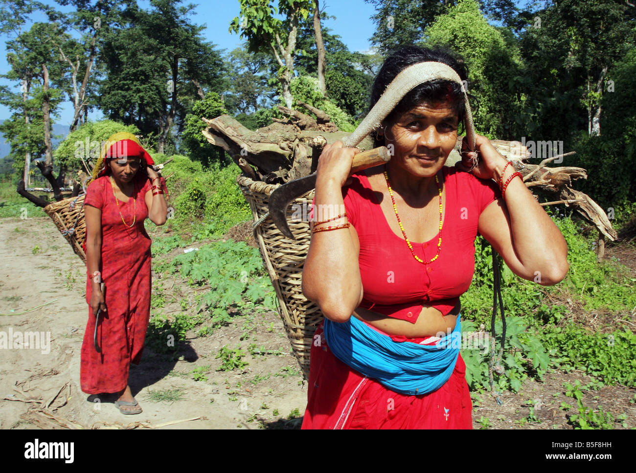 Il Nepal, donna portare legna da ardere nel suo cestelli Foto Stock