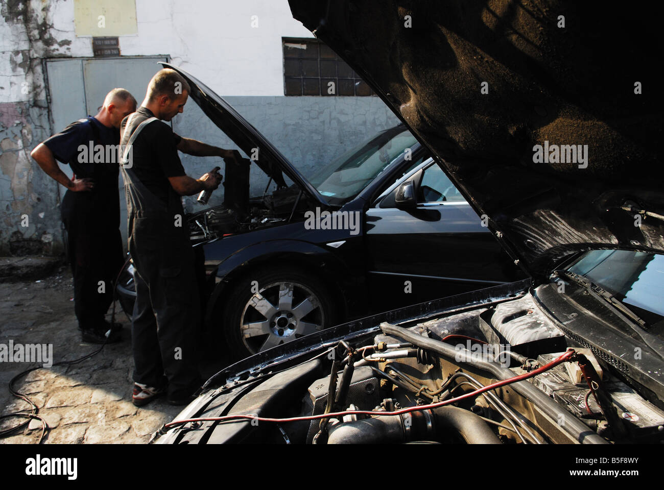 Meccanica auto,mano classe operaia, mani classe operaia, operatore, lavori,meccanico, meccanico, proprietario, parti, petrolio, professione, riparazione, gomma, Foto Stock