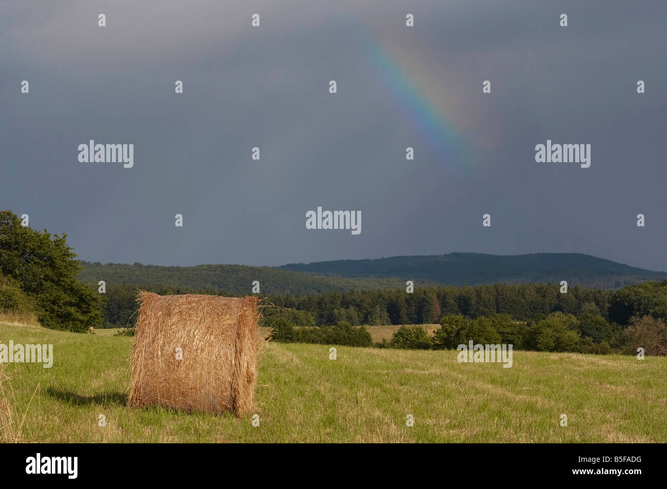 Colpo di cielo scuro con arcobaleno - dopo la pioggia. Paesaggio coltivato - harvest. Foto Stock