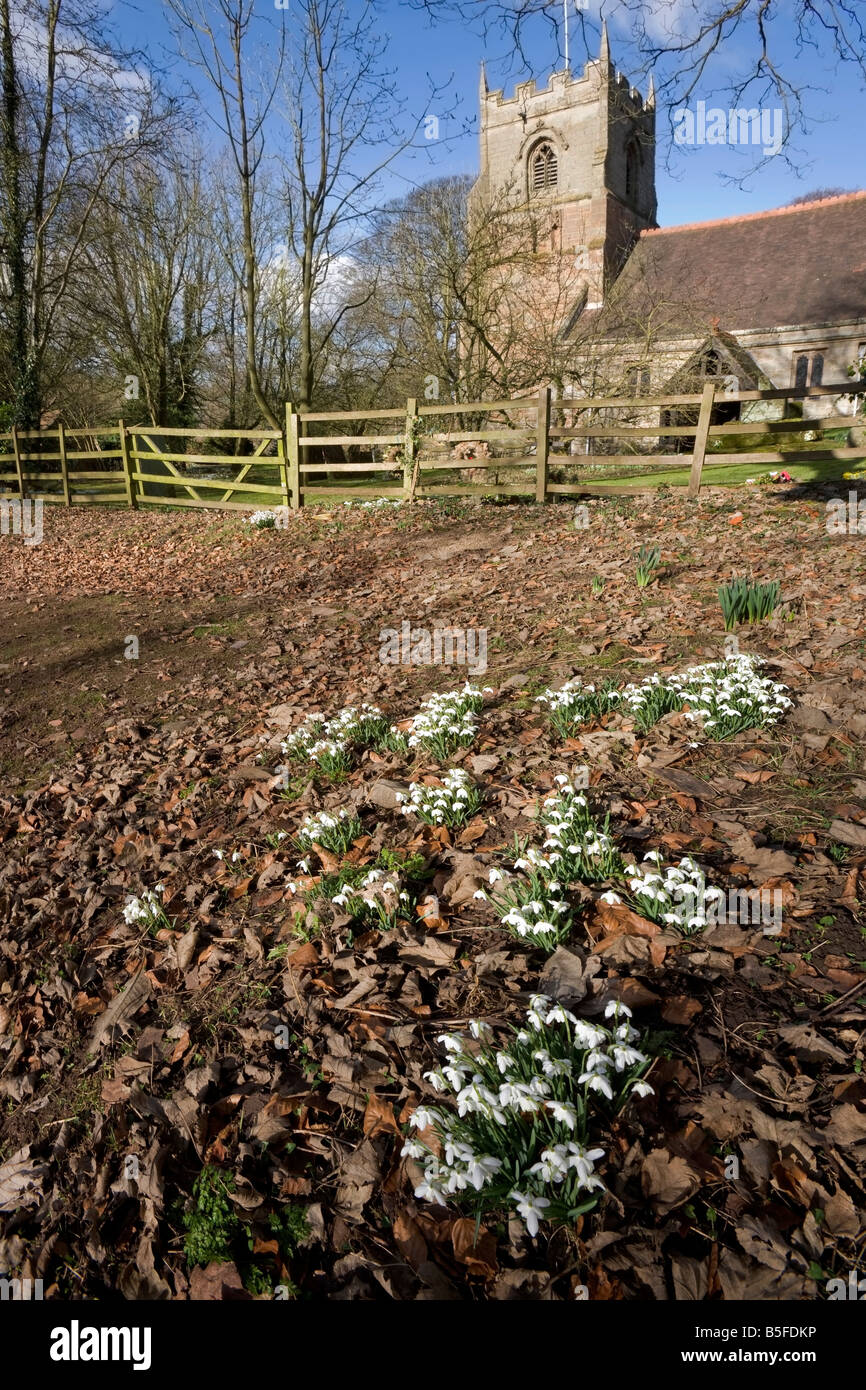 St leonards chiesa beoley worcestershire con bucaneve in fiore invernale Foto Stock