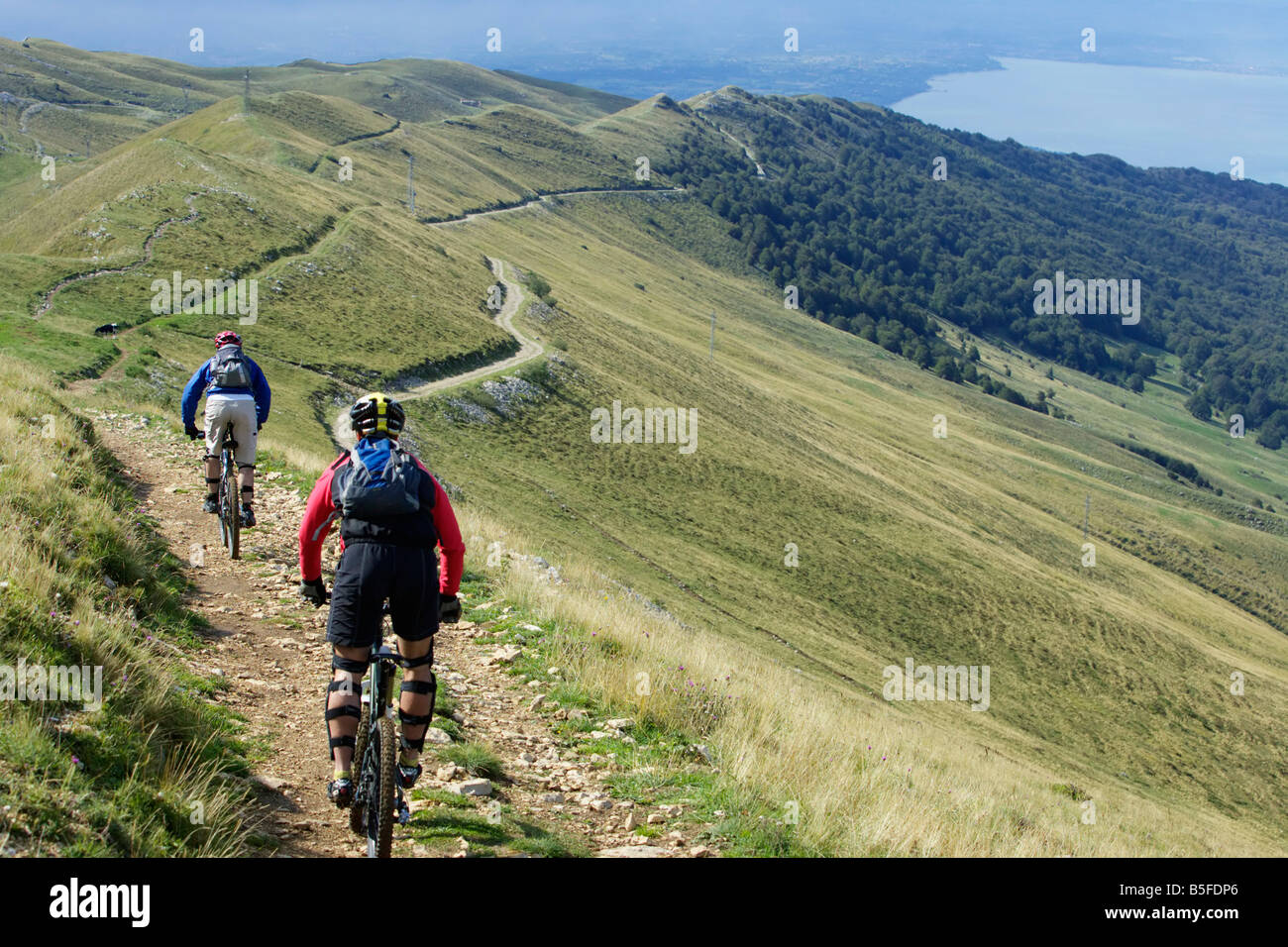 Due piloti mountainbike la guida su un percorso Foto Stock