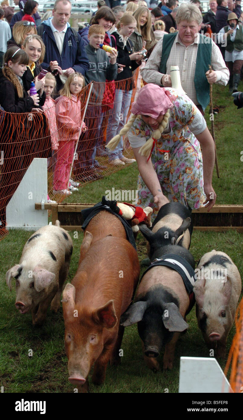 Il Prosciutto di maiale nazionale gara a Sedgefield Racecourse 8 aprile 2008 i corridori durante la gara Foto Stock