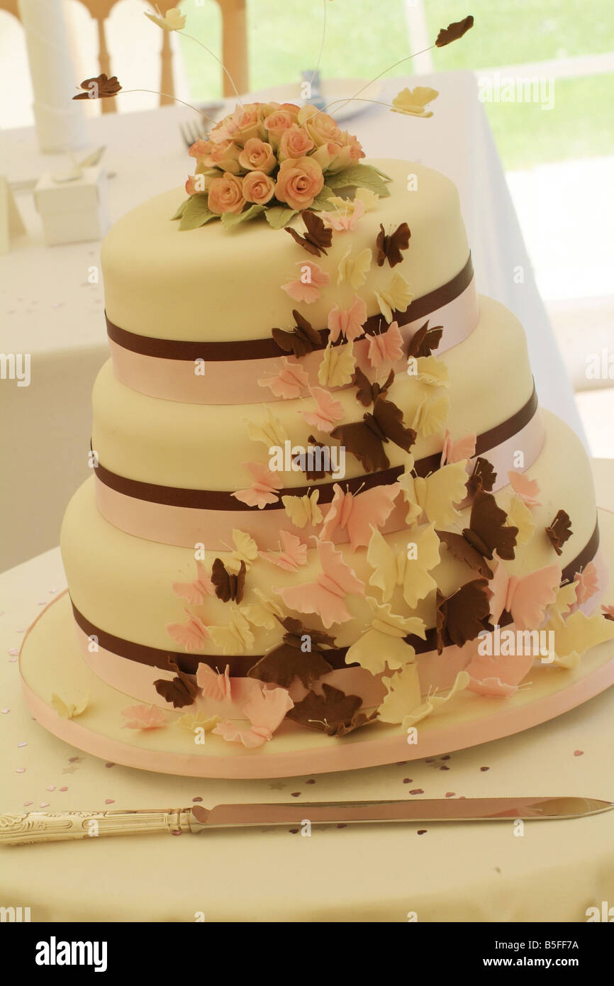 Torta di cerimonia nuziale Foto Stock