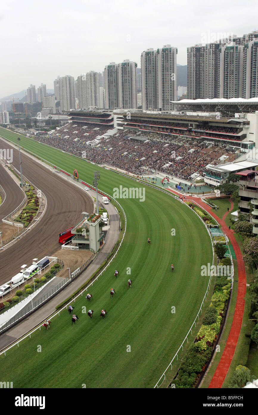 Il cavallo di razza in corso Sha Tin in Hong Kong, Cina Foto Stock