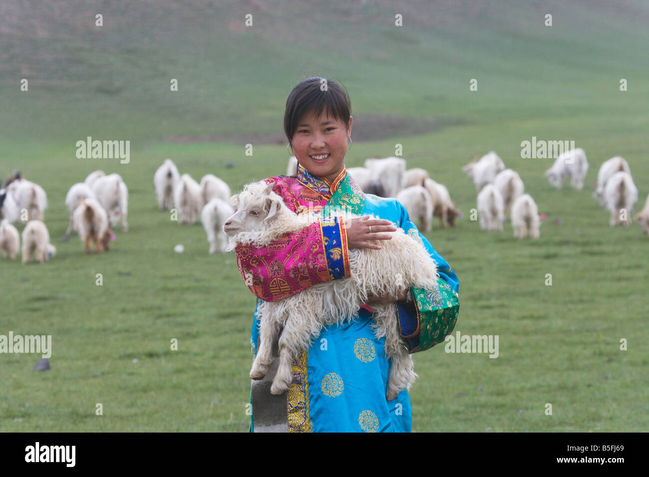 Ragazza tibetana holding agnello altopiano Qinghai Yushu Provincia di Qinghai Cina Foto Stock