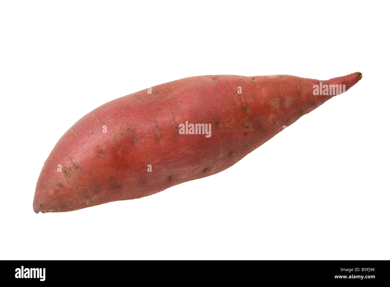 Ritaglio di filato su sfondo bianco Foto Stock