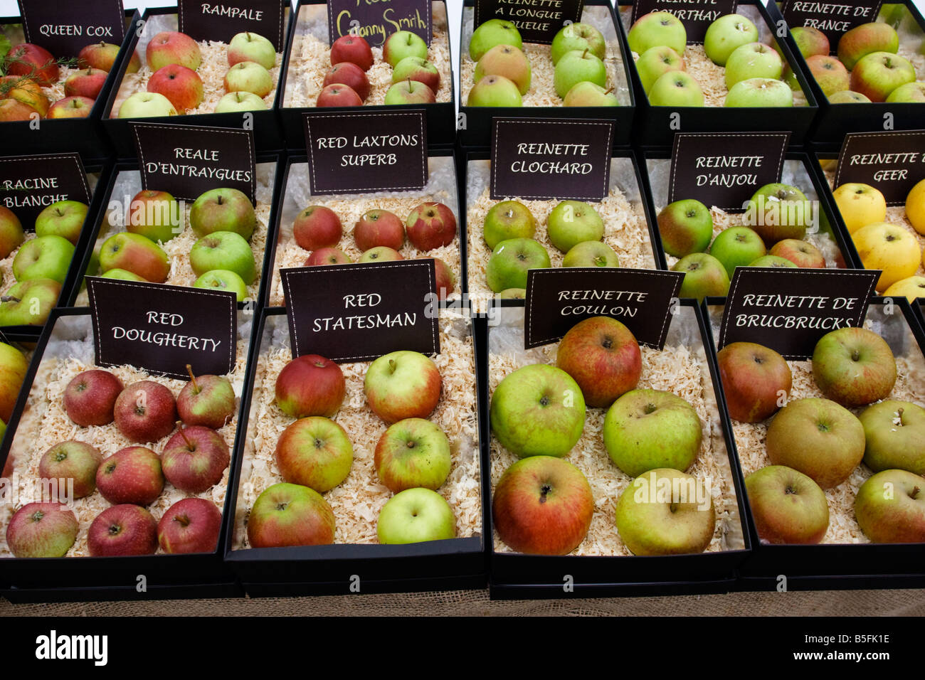 Rara varietà di mele in mostra a Brogdale farm home della nazionale di  raccolta di frutta, Faversham Kent, Regno Unito Foto stock - Alamy
