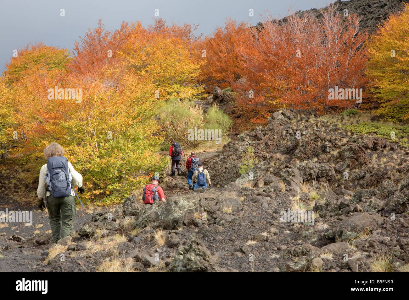Gli escursionisti sul vulcano Etna il versante nord di entrare una patch di fall-foresta colorata Foto Stock