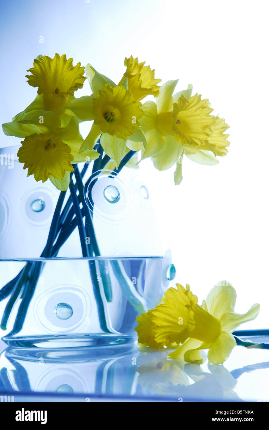 Fiori gialli, arte, design naturale, boquet fresco, casa, Stile di vita, foto Kazimierz Jurewicz Foto Stock