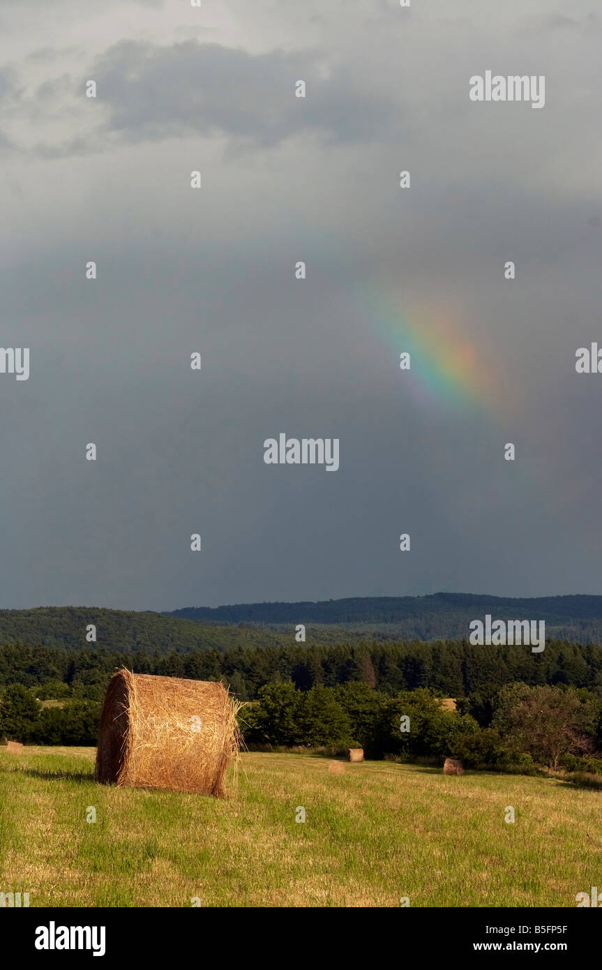 Dark Sky con arcobaleno - dopo la pioggia - prato da fieno Foto Stock