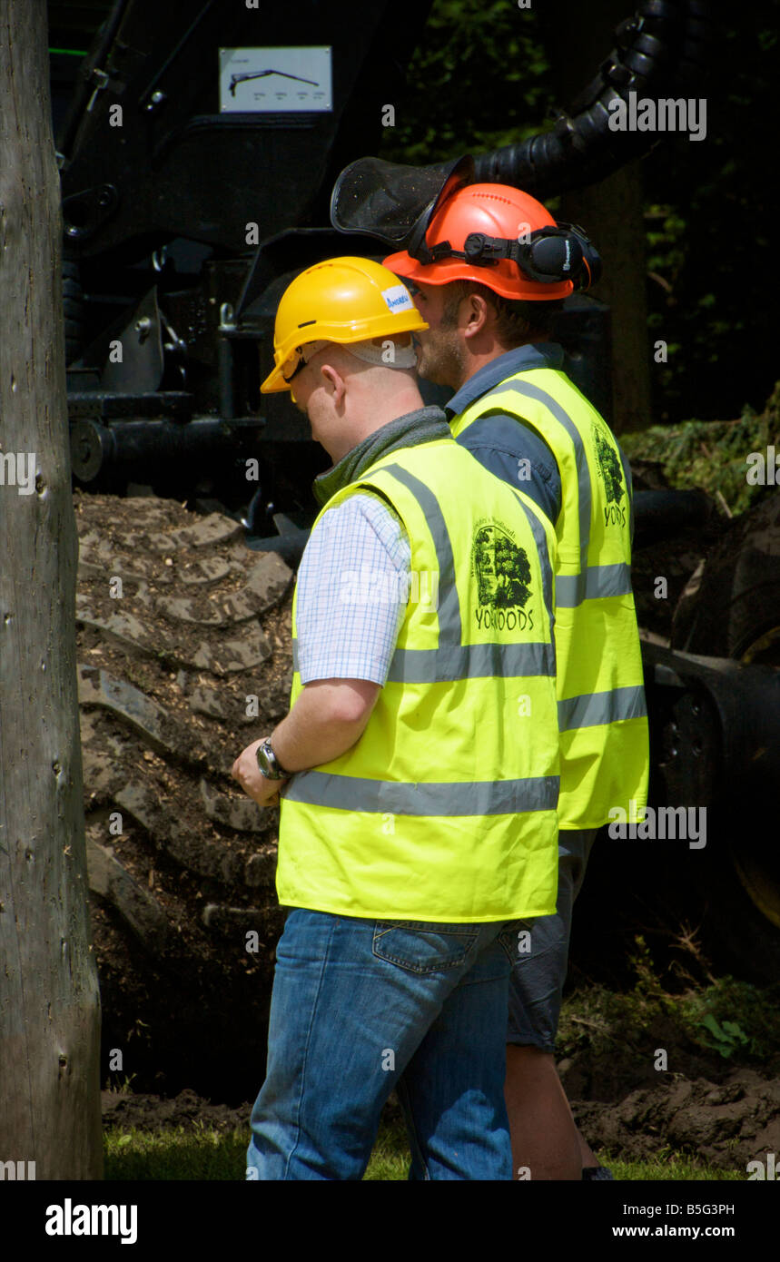 Funzionari del 2008 Grande Yorkshire Visualizza tree climbing concorrenza Harrogate Inghilterra England Foto Stock